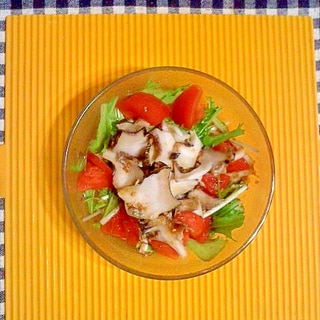 ニシ貝レシピ 作り方の人気順 簡単料理の楽天レシピ ニシ貝レシピ 作り方の人気順 簡単料理の楽天レシピ
